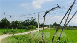 Nguy hiểm từ đường dây điện tự kéo tại khu dân cư ở Ninh Thuận